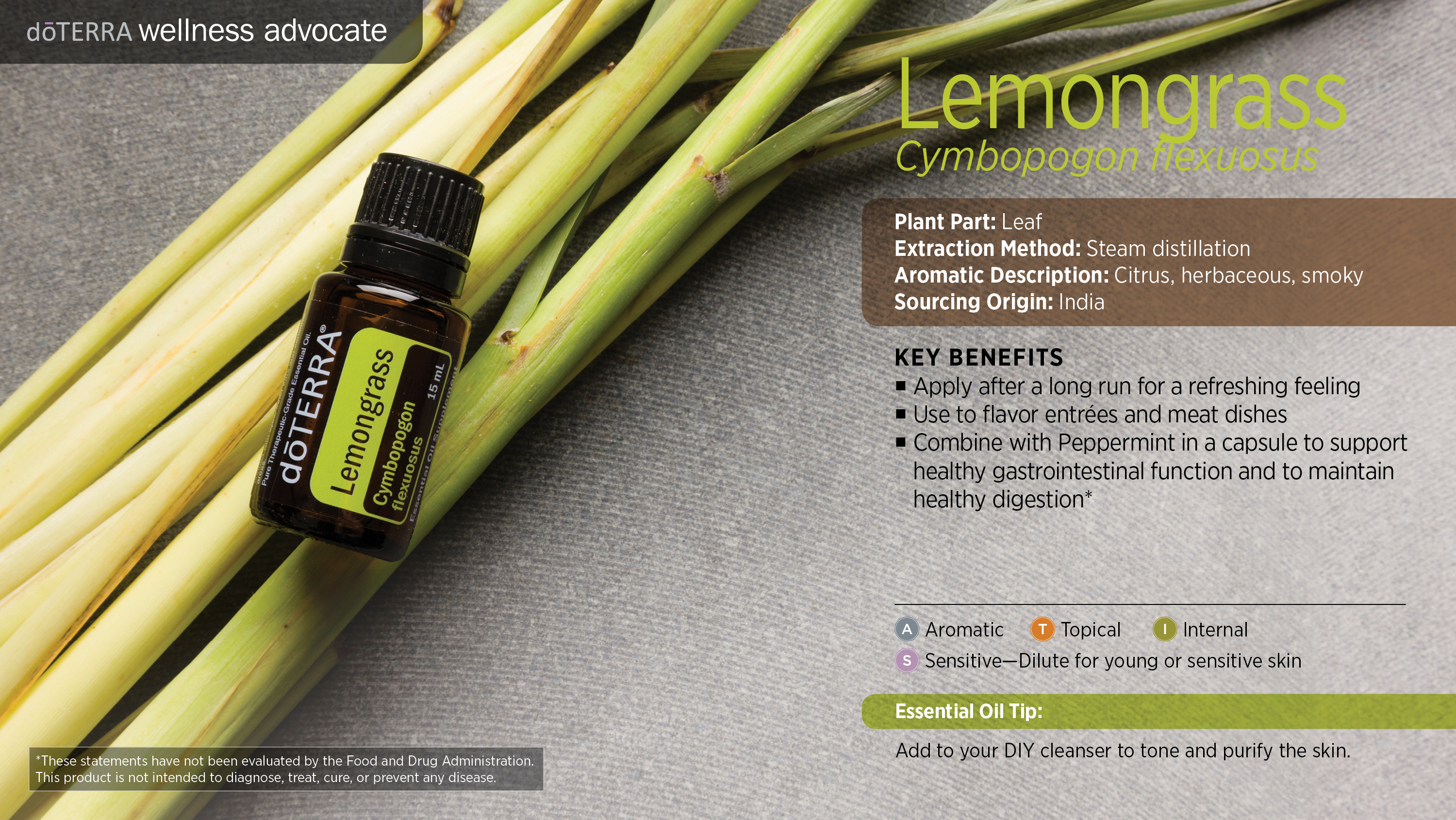 Oil Drops of Wisdom – Lemongrass